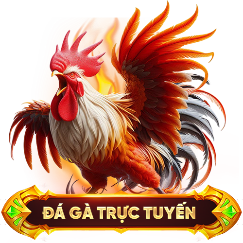 148-da-ga-truc-tuyen