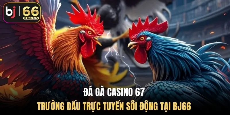 da-ga-casino-67